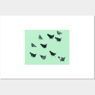 Minty chooks Posters and Art